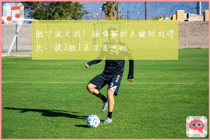 胜宁波之战！杨鸣解析关键时刻得失，提3胜1负深度总结