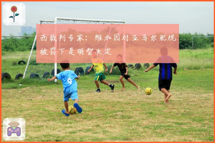 西裁判专家：维加因对亚马尔犯规被罚下是明智决定